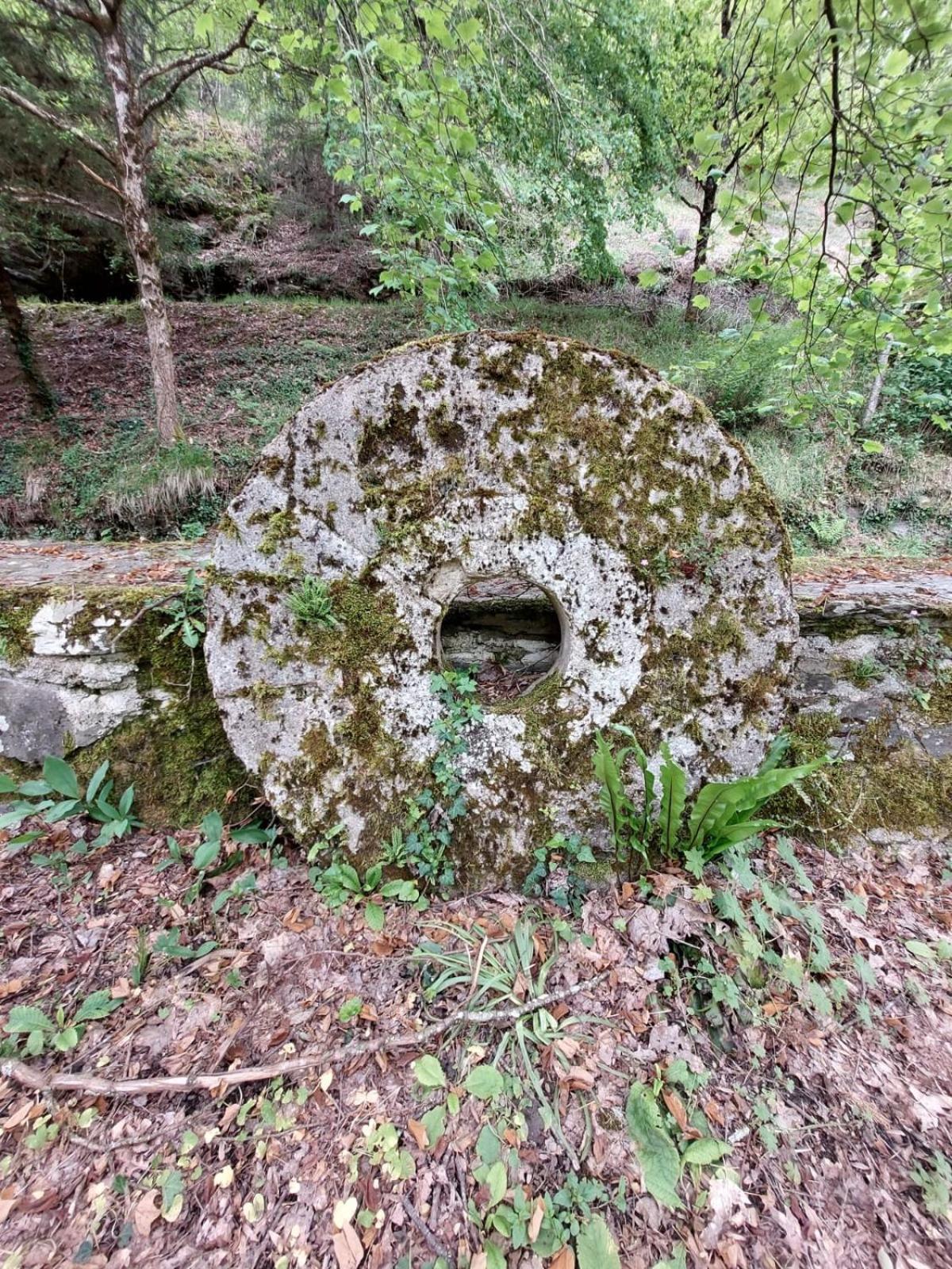 Moulin De Serre Villa Cassagnes-Bégonhès Exterior foto